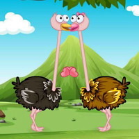 Free online html5 games - Ostrich Seeking His Love game 