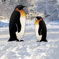 Free online html5 games - penguin snow land escape game - WowEscape