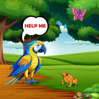 Provide Food To Macaw