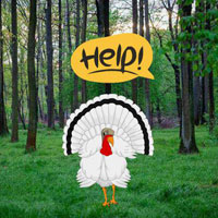 Free online html5 games - Queen Turkey Seeks Crown game - WowEscape