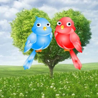 Rescue The Love Birds HTML5