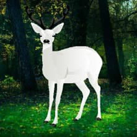 Free online html5 games - Rescue The Wild White Deer HTML5 game - WowEscape