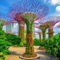 Singapore Garden Escape HTML5