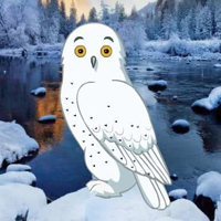 Free online html5 games - Snow Owl Escape HTML5 game - WowEscape