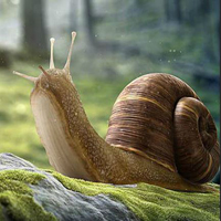 Wonder Snail Forest Escape HTML5