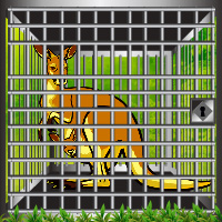 Free online html5 games - Green Woods Kangaroo Rescue game 