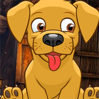 Free online html5 games - AVM Cute Pet Dog Escape game 