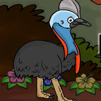 Free online html5 games - G2J Cassowaries Bird Escape game 