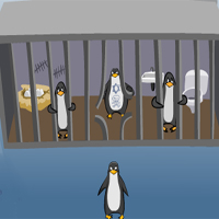 Free online html5 games - Milton the Penguin Zoo Escape game 
