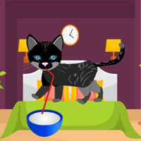 Free online html5 games - Hungry Cat Escape game 