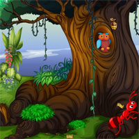 Free online html5 games - Old Forest Treasures game 