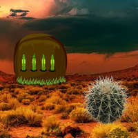 Free online html5 games - Armadillo Rescue from Desert game 