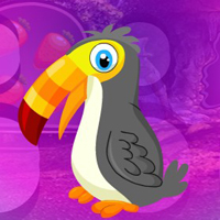 Free online html5 games -  G4K Pretty Hornbill Escape game 