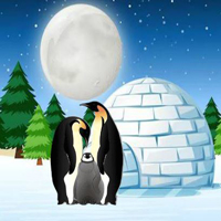 Free online html5 games - HOG Rescue The Penguin Family game 