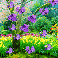 Free online html5 games - Game2rule Find the Kurinji Flower Tree  game 