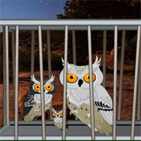 Free online html5 games - Desert Great Basin Owl family Rescue game 