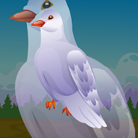 Free online html5 games - G2J Wild Pigeon Escape game - WowEscape 