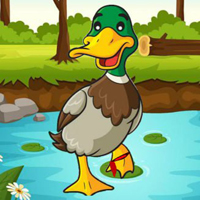 Free online html5 games - Help The Charming Duck game - WowEscape 