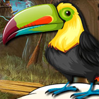 Free online html5 games - Avm Cute Toucan Bird Escape  game - WowEscape 