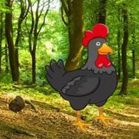 Find The Black Rooster Pair HTML5