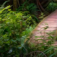 Free online html5 games - Enchanted Jungle Fun Escape game 