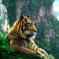 Free online html5 games - Escape From Tiger Forest HTML5 game 