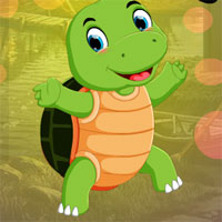 Free online html5 games - G4K Small Tortoise Escape  game 