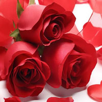 Free online html5 games - Valentines Rose Bouquet Day HTML5 game - WowEscape 