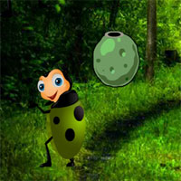 Free online html5 games - G2R Crazy Beetle forest game 