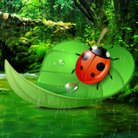 Free online html5 games - Games2rule Ladybug Rainforest Escape game 