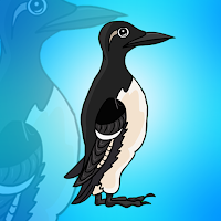 Free online html5 games - G2J Guillemots Bird Escape game - WowEscape 