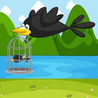 Free online html5 games - HOG Pair of Bird Escape game 