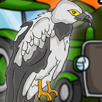 Free online html5 games - G2J Palm Nut Vulture Escape game 