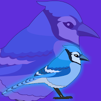 Free online html5 games -  FG Cute Blue Jay Rescue game 