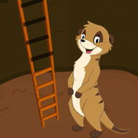 Free online html5 games - Help The Meerkat HTML5 game 