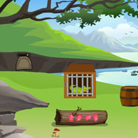 Free online html5 games - G4E River Crocodile Escape game 
