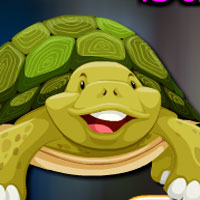 Free online html5 games - Sulcata Tortoise Escape Game game 
