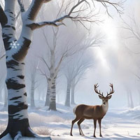 Free online html5 games - Winter Forest game 