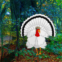 Free online html5 games - Big White Turkey Forest Escape game 