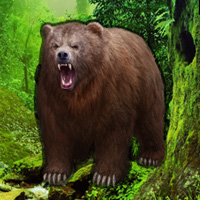 Free online html5 games - Grizzly Bear Forest Escape game 